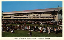 In the Paddock at Gulfstream Park Postcard