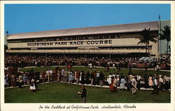 In the Paddock at Gulfstream Park Hallandale, FL Postcard Postcard