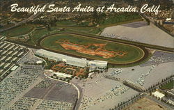 Santa Anita Arcadia, CA Postcard Postcard