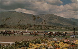 Santa Anita Park Arcadia, CA Postcard Postcard