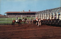 Arlington Park Race Track Postcard