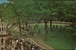 Belmont Park New York Postcard Postcard