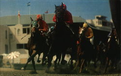Coming 'Round the Curve at Bay Meadows Coming 'Round the Curve at Bay Meadows