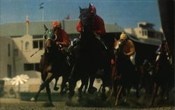 Coming 'Round the Curve at Bay Meadows Horse Racing Postcard Postcard