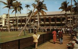 Hialeah Race Course Postcard