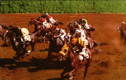 Fast Action on the Back Stretch at Hialeah Race Course Postcard