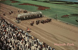 Hialeah Race Track Florida Postcard Postcard