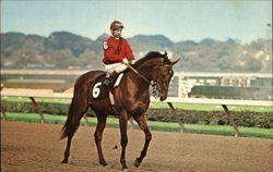 Aqueduct - Belmont Park - Saratoga Postcard