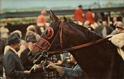 Buckpasser Buckpasser