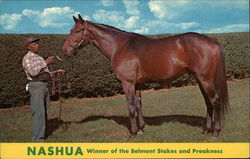 Nashua, Winner of the Belmont Stakes and Preakness Lexington, KY Postcard Postcard