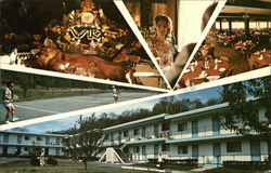 Villa Roma Country Club Callicoon, NY Postcard Postcard