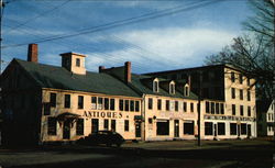 Fitton's White Elephant Shop Postcard