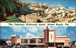 The Driftwood Motel Postcard