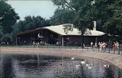 Holden Museum of Living Reptiles Postcard