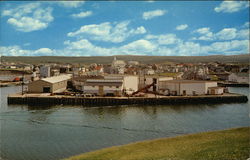 Town of Fortune on the Burin Peninsula Postcard