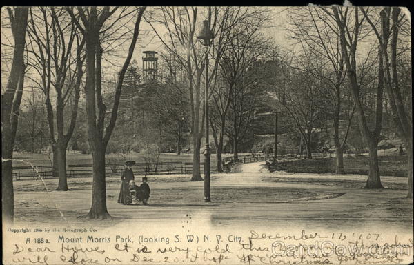 Mount Morris Park looking S.W New York