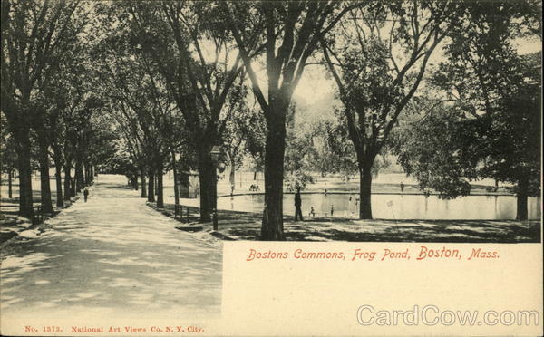 Bostons Commons, Frog Pond Massachusetts