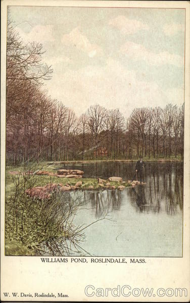 Williams Pond Roslindale Massachusetts