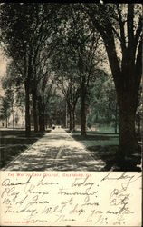 The Way to Knox College Postcard