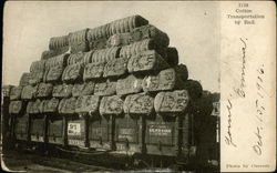 Cotton Transportation by Rail Postcard