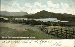 Wilson Pond, Moosehead Lake Greenville, ME Postcard Postcard