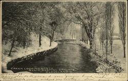 Creek Looking North, State Hospital Grounds Postcard
