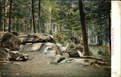 The Sanctuary Postcard