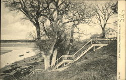 The Willows Prouts Neck, ME Postcard Postcard