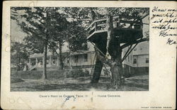 Crow's Nest in Cherry Tree Postcard