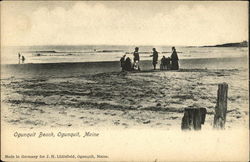 Ogunquit Beach Maine Postcard Postcard