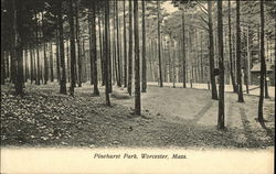 Pinehurst Park Postcard