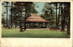 Main Grove, Whalom Park Lunenburg, MA Postcard Postcard