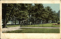 Lawn and Lake Front, Whalom Park Lunenburg, MA Postcard Postcard