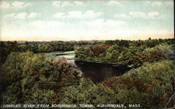 Charles River from Norumbega Tower Postcard