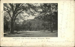 Common and Front Streets Postcard