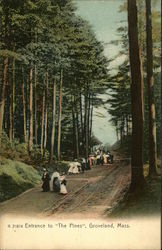 Entrance to "The Pines" Groveland, MA Postcard Postcard