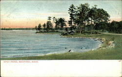 Spot Pond Postcard