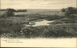 A Nantucket Landscape A Nantucket Landscape