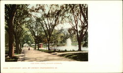 The Frog Pond, Boston Common Postcard