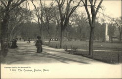 The Common Postcard