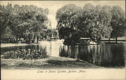 Lake in Public Garden Postcard