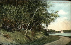 Chestnut Hill Reservoir Postcard