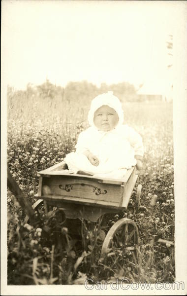 Baby in Wagon in Pretty Field Babies