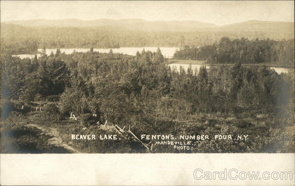 Beaver Lake, Fenton's Number Four New York Mandeville Photo