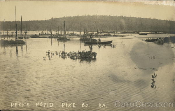 Pecks Pond Dingmans Ferry Pennsylvania