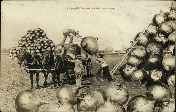 Loading Cart with Huge Onions Exaggeration