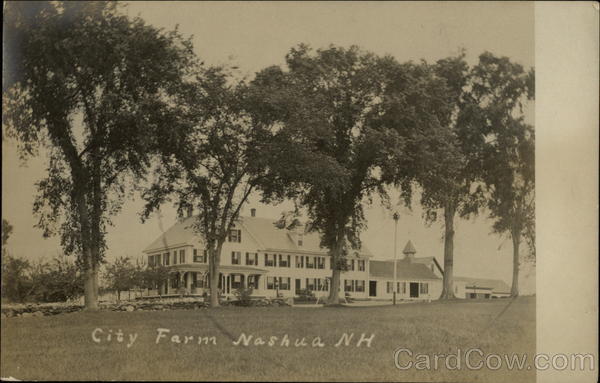 City Farm Nashua New Hampshire
