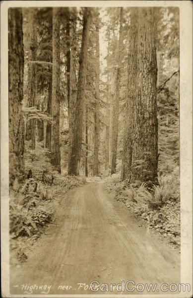 Highway Near Forks Washington
