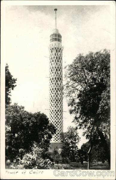 Tower of Cairo Egypt Africa