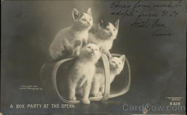 A Box Party at the Opera Cats
